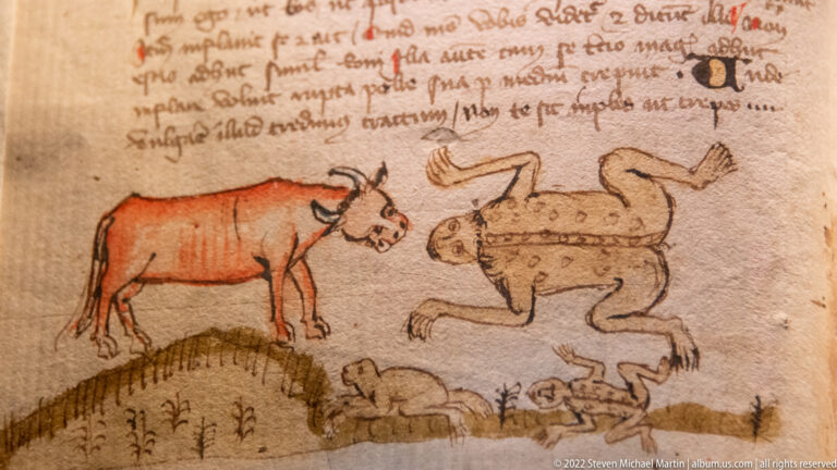 Medieval manuscript detail with a red-brown cow and several stylized animals beneath lines of handwritten text.