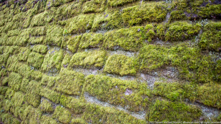 Close view of rough stone blocks heavily covered with bright green moss.