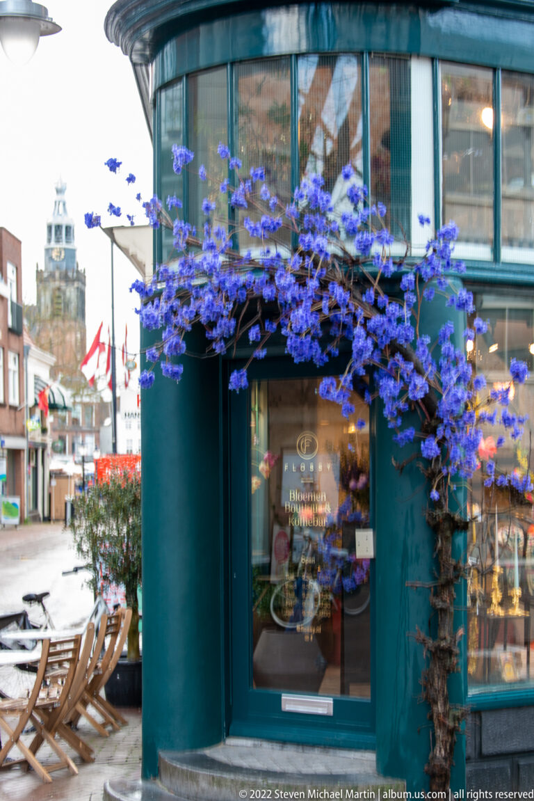 Blue flowers frame a dark teal shop entrance, with outdoor seating and a distant tower beyond.