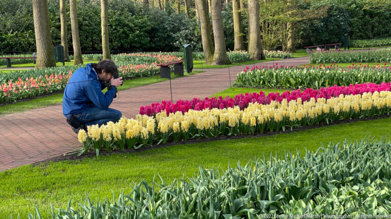 Visitor crouching with a camera beside pale yellow and magenta flower beds along a brick path in the wooded garden.