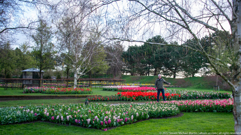 Geometric pink, red, and white tulip beds across a lawn, with one visitor and mature trees.