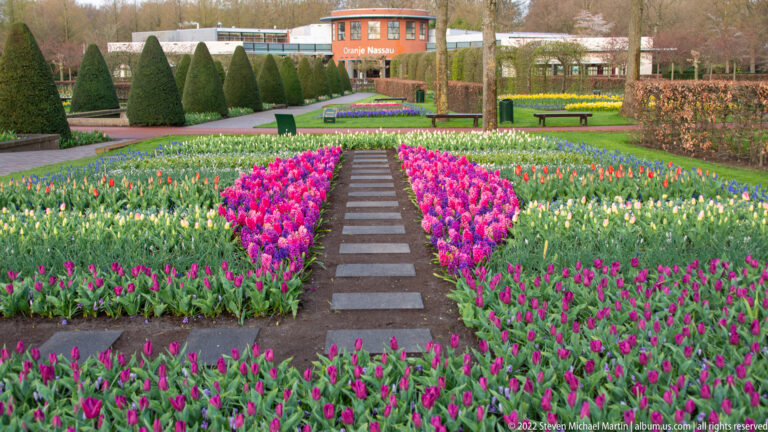 Straight stepping-stone path between bright pink and mixed tulip beds leading toward topiary and the Oranje Nassau pavilion.