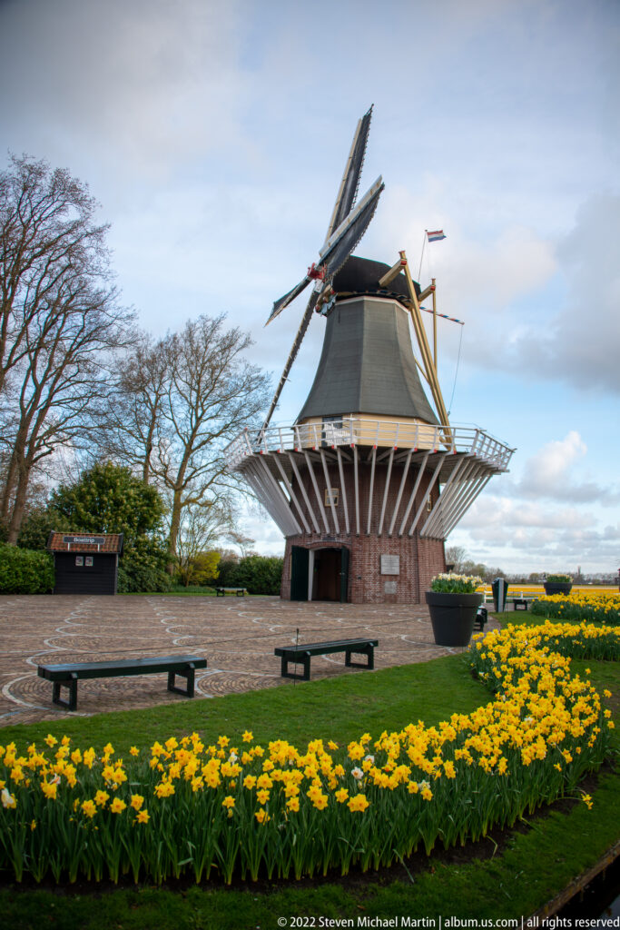 Keukenhof windmill with four sails stands behind yellow flower beds and benches beneath a pale blue sky.