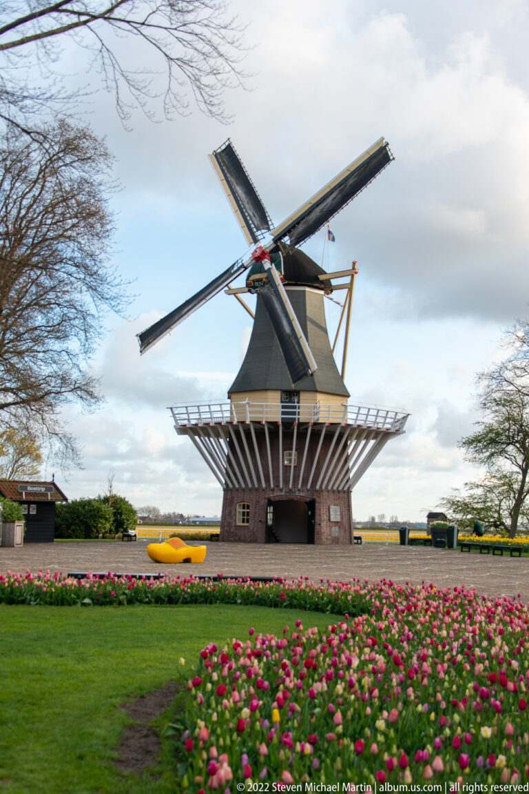 Pink tulips fill the foreground lawn with the Keukenhof windmill centered behind them among trees.