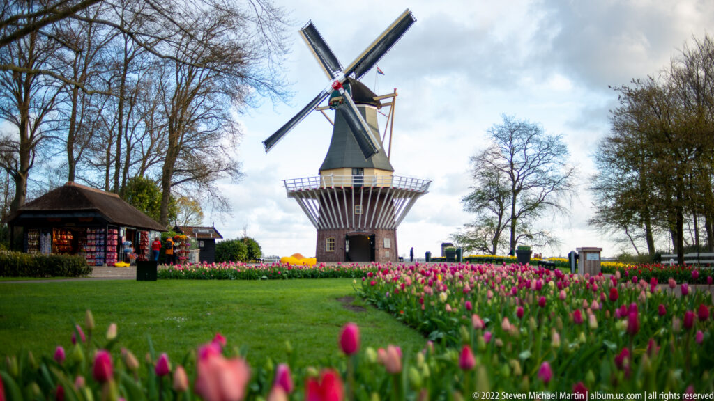 Keukenhof windmill stands beyond a green lawn bordered by pink tulips, with a small kiosk at left.