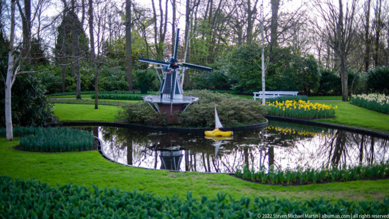 Small decorative windmill reflected in a garden pond with a swan ornament, yellow flowers, lawn, and trees.