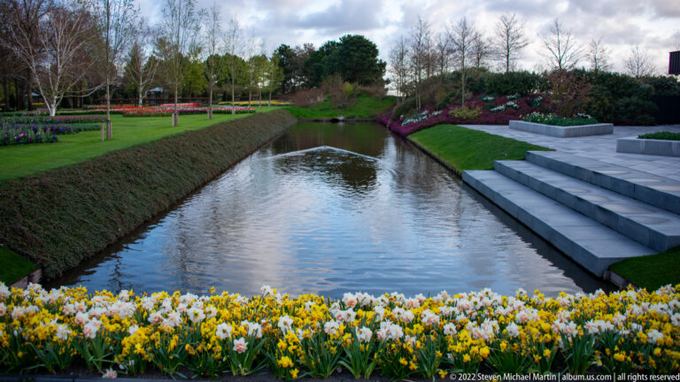 Yellow-and-white daffodils beside a narrow canal, with stone steps, lawns, flower beds, and spring trees beyond.