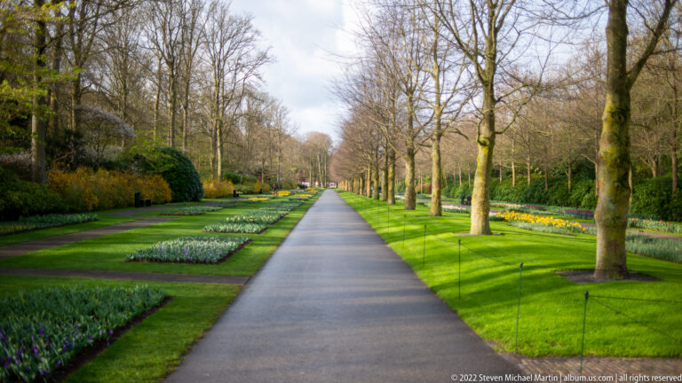 Long straight avenue lined with bare trees, lawns, and rectangular spring bulb beds at Keukenhof.