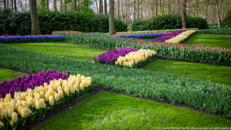 Geometric spring flower beds in purple, cream, red, and blue-purple arranged across lawn among trees.