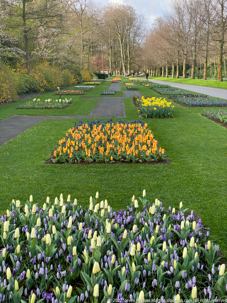 Formal Keukenhof garden with a straight central path, clipped lawns, orange tulips, and geometric beds of pale and purple spring flowers.