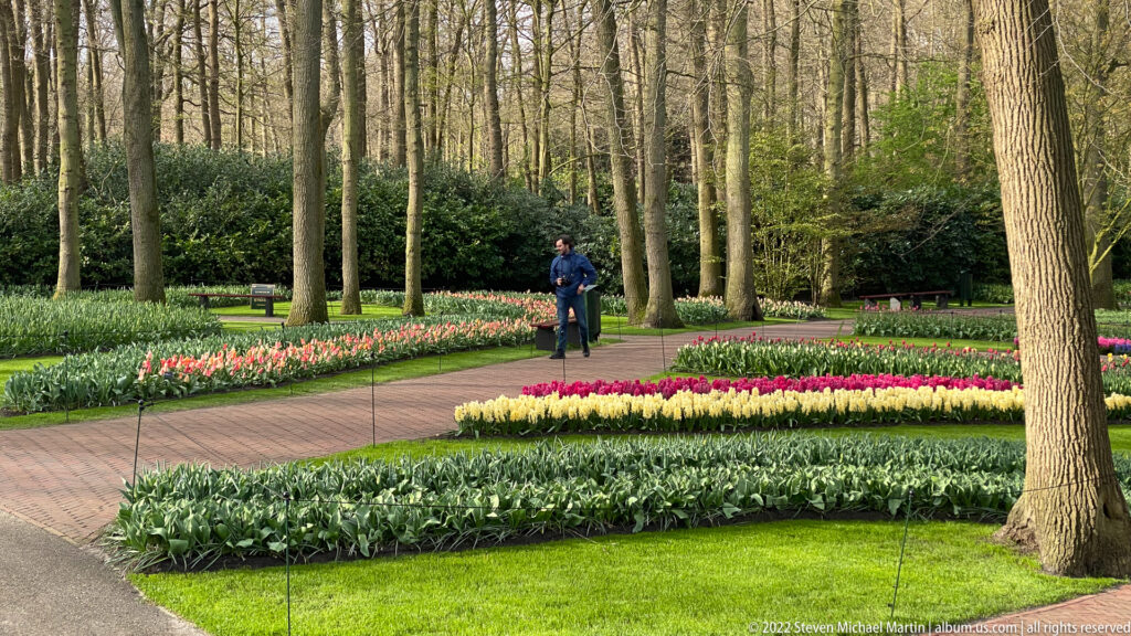 Brick garden path among tall trees, bordered by yellow, magenta, white, and coral spring bulb beds, with a visitor walking.