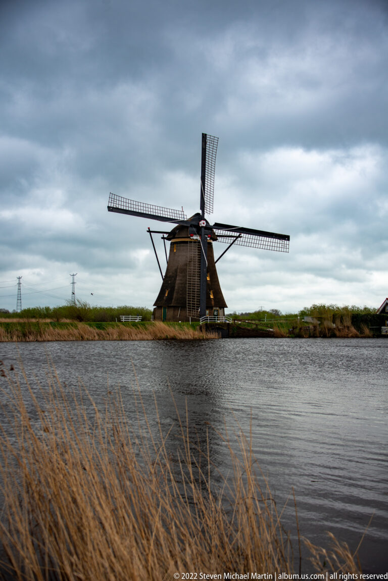 Single traditional windmill across a canal, with tall brown reeds in the foreground.