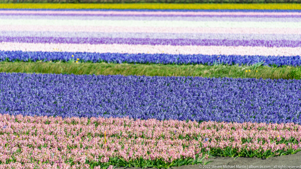 Horizontal bands of pink, blue-purple, white, lavender, and yellow-green flowers are divided by a grassy strip.
