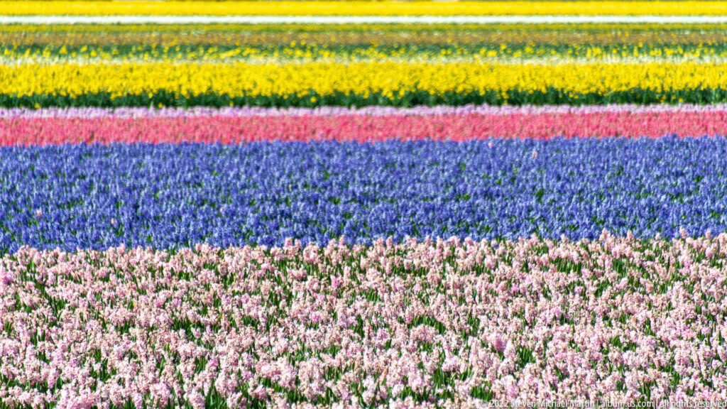 Horizontal bands of pale pink, blue-purple, bright pink, green, and yellow flowers span the field.