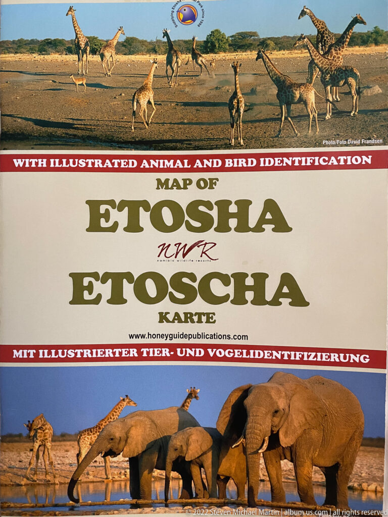 Cover of an Etosha animal-identification guide with illustrated giraffes, antelope, elephants, birds, and bilingual English-German title.