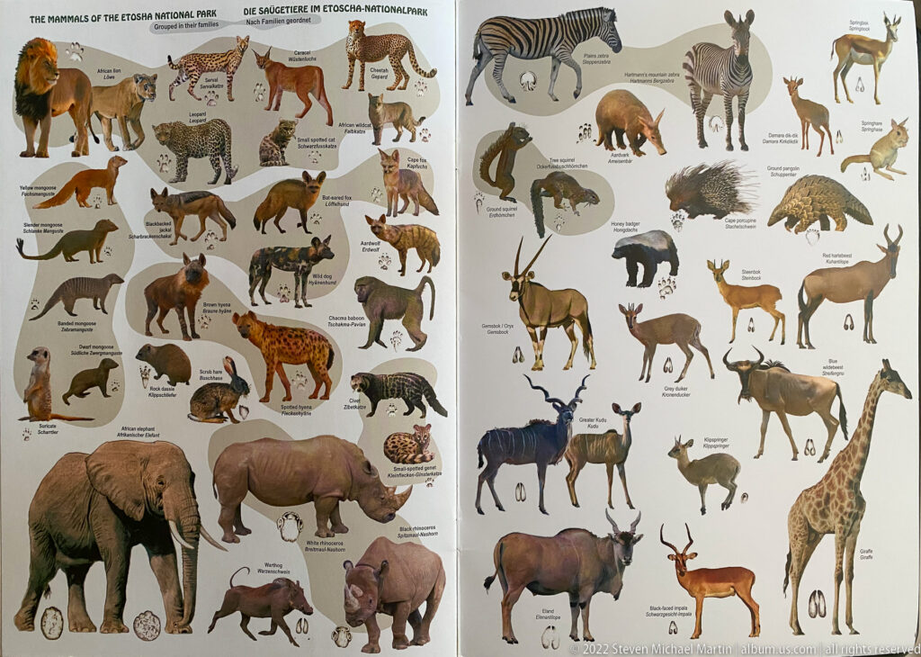 Two-page mammal guide with labeled drawings of elephant, rhinoceros, giraffe, zebra, antelope, carnivores, primates, and smaller mammals.