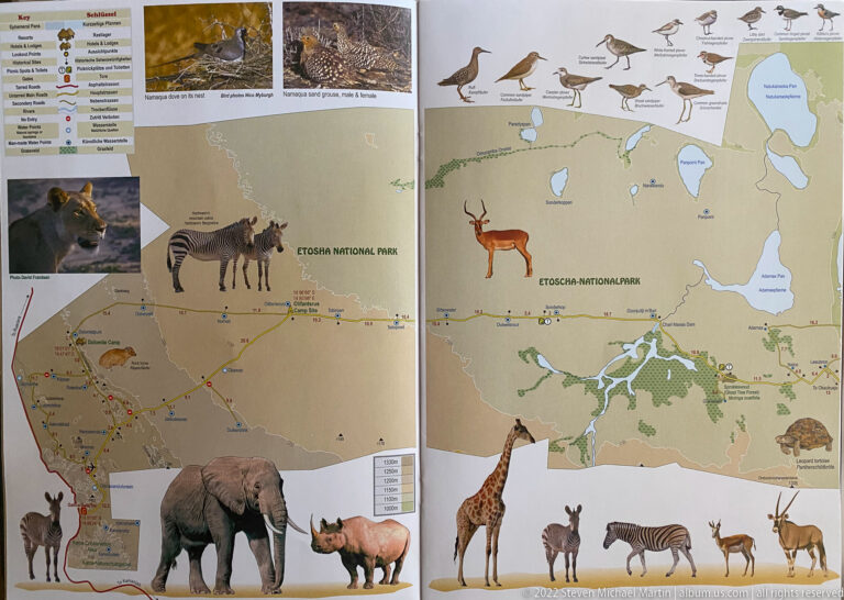 Open illustrated Etosha maps surrounded by drawings of zebra, elephant, rhinoceros, giraffe, antelope, birds, and other wildlife.