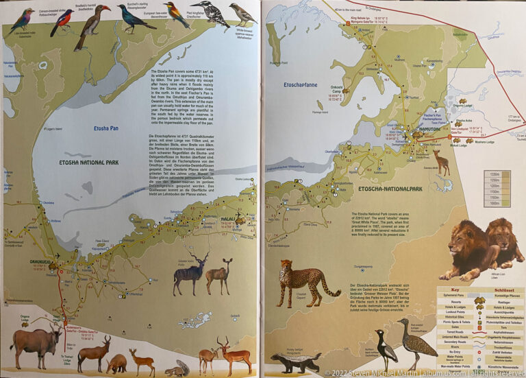 Two-page Etosha National Park road map with water features, place names, route lines, and animal illustrations around the margins.