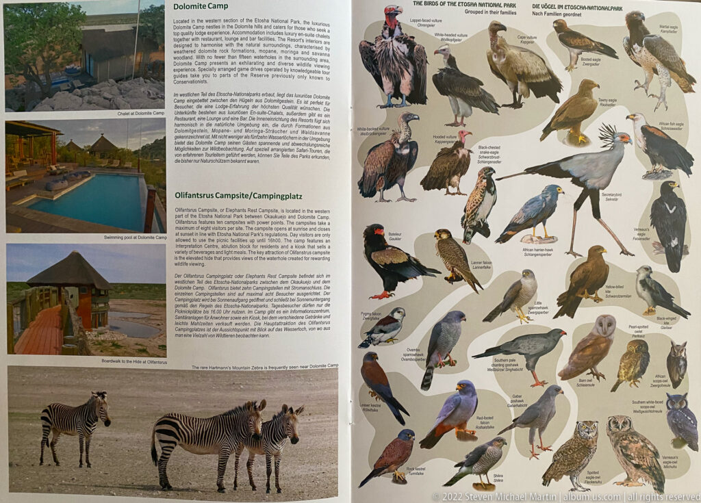 Etosha guide spread with campsite photographs and zebras on the left and labeled illustrations of raptors and owls on the right.