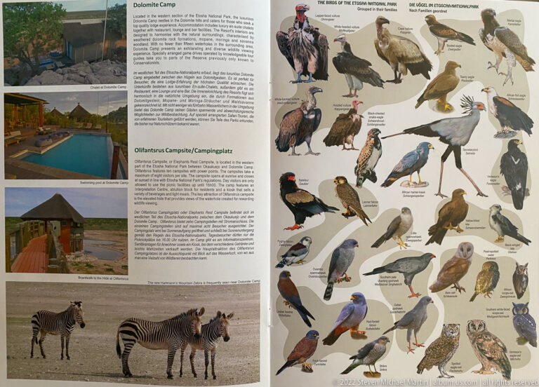 Etosha guide spread with campsite photographs and zebras on the left and labeled illustrations of raptors and owls on the right.