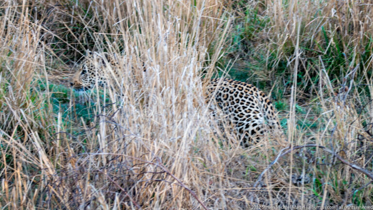 Kruger National Park – Skukuza