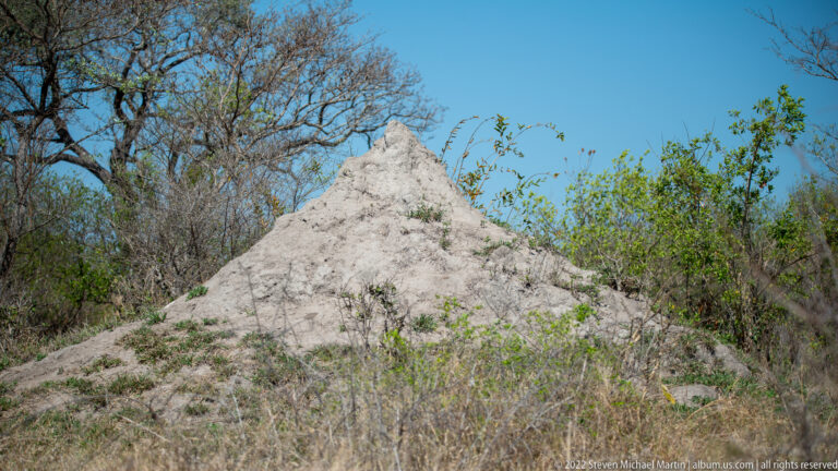 Large pale conical termite mound rising above dry grass and scrub beneath a blue sky.