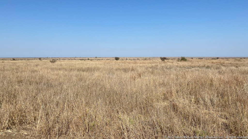 Wide dry savanna with pale grass, sparse shrubs, distant low trees, and a clear blue sky.