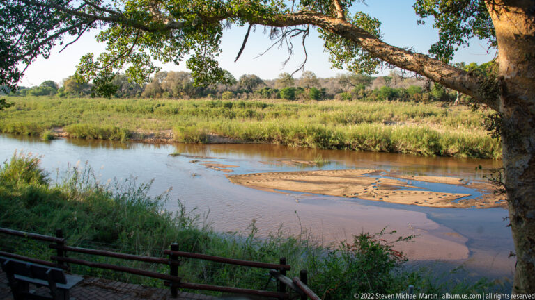 Sabie River with exposed sandbars, shallow channels, green banks, and an overhanging tree.