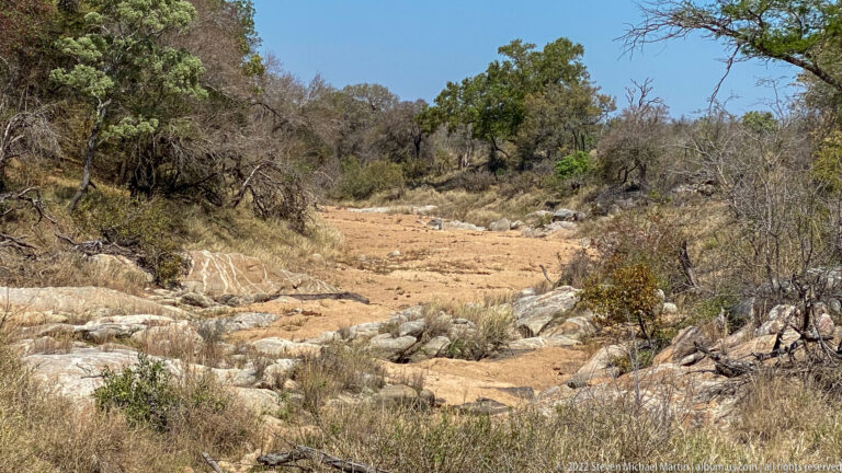Dry rocky streambed with exposed pale bedrock, scattered stones, shrubs, and woodland on both sides.