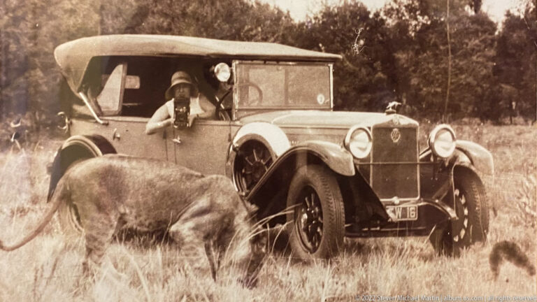 Sepia historical photograph of an early motorcar in grassland with a lion walking beside it.