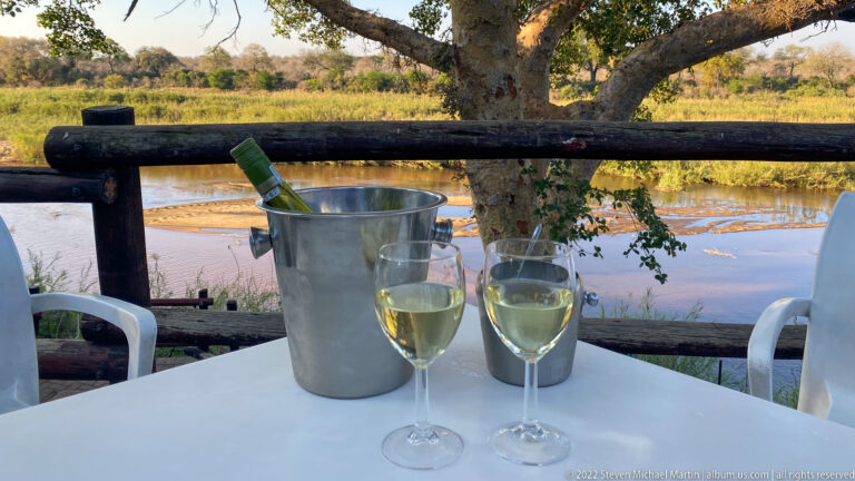 Two glasses of white wine and a bottle in an ice bucket on a riverside table under a large tree.