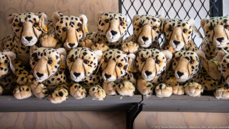 Rows of spotted cheetah plush toys packed together on a shop shelf.