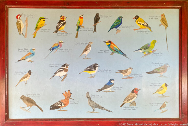 Painted bird-identification board showing labeled colorful woodland and savanna species inside the hide.