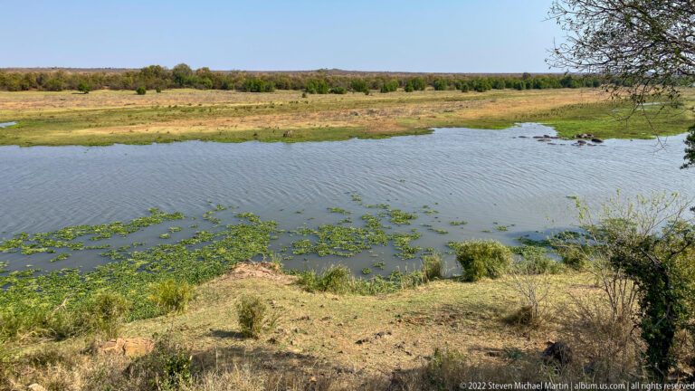 Broad waterhole with green margins and dry woodland viewed from an elevated wildlife hide.