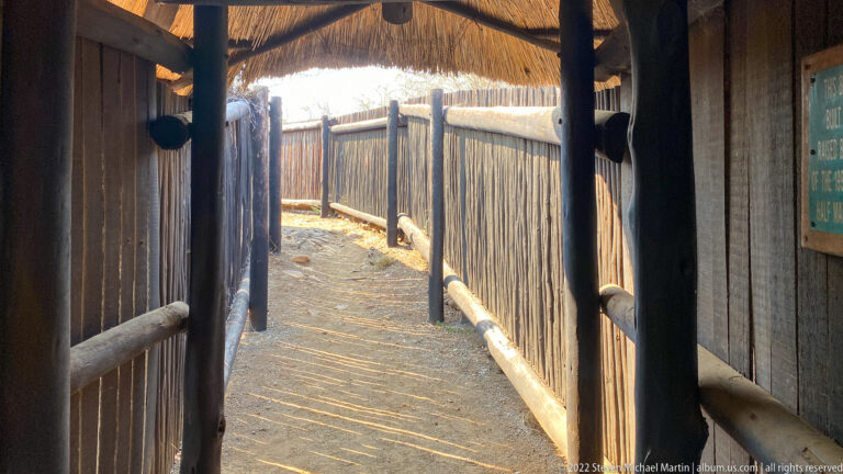 Curving wooden walkway enclosed by tall pole screening at a wildlife hide.