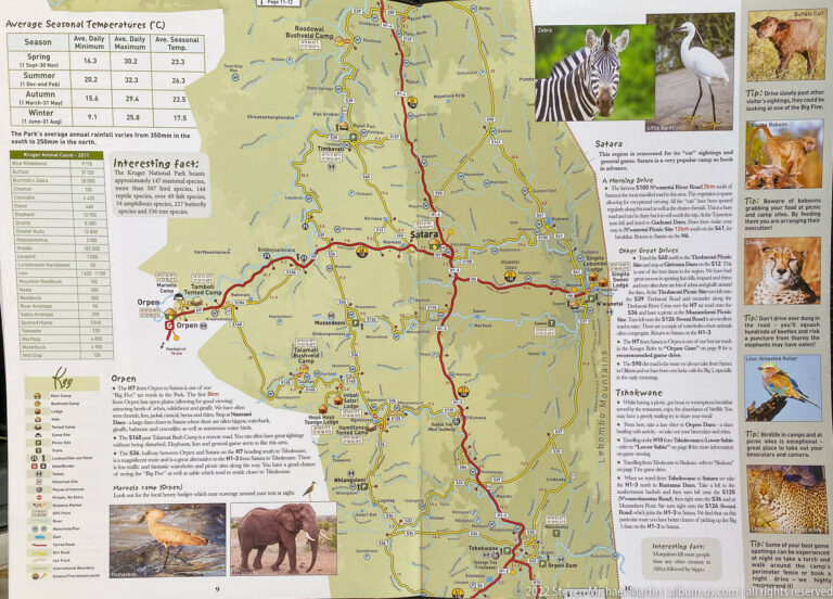 Central Kruger National Park road map around Satara with routes, rivers, camps, wildlife photographs, and travel notes.