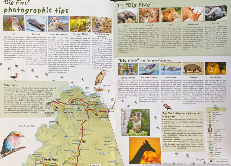 Printed Big Five guide with lion, elephant, leopard, rhino, buffalo, spotting tips, and a Kruger map.