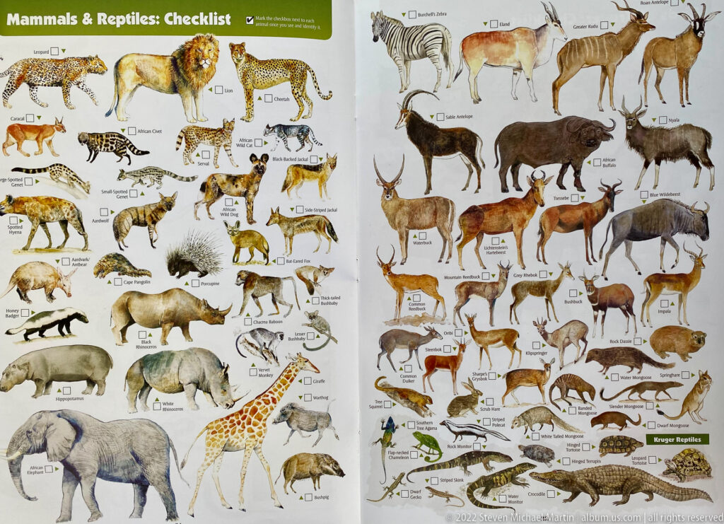 Illustrated Kruger wildlife checklist showing large and small mammals with labeled drawings, check boxes, and reptiles along the bottom.