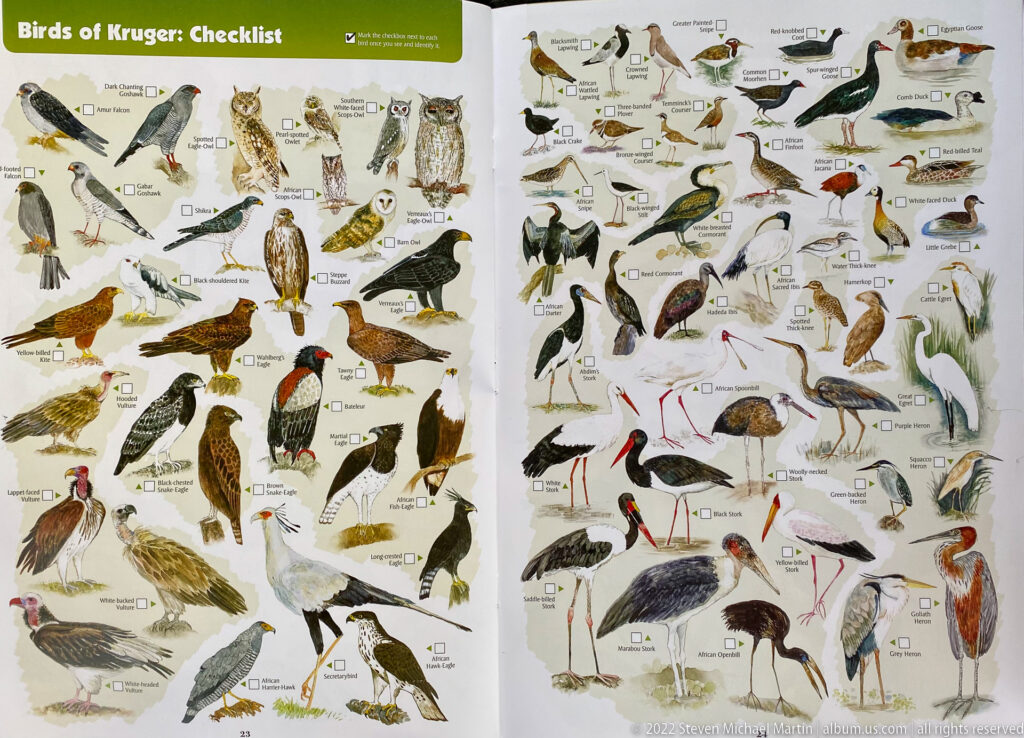 Two-page illustrated Kruger bird checklist with raptors, owls, waterbirds, storks, herons, and check boxes.