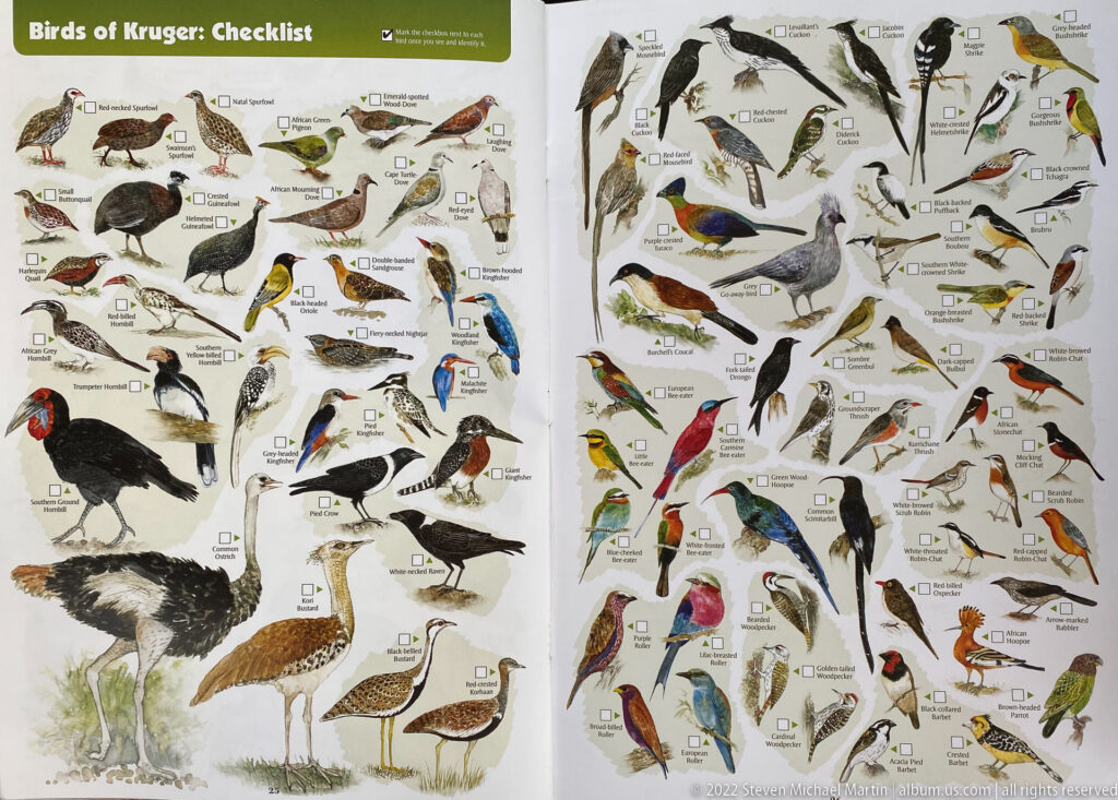 Illustrated Kruger bird checklist showing hornbills, kingfishers, colorful woodland birds, passerines, and check boxes.