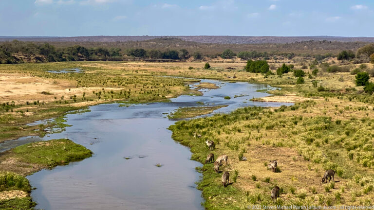 Broad river floodplain with numerous elephants scattered along both banks and near the water.