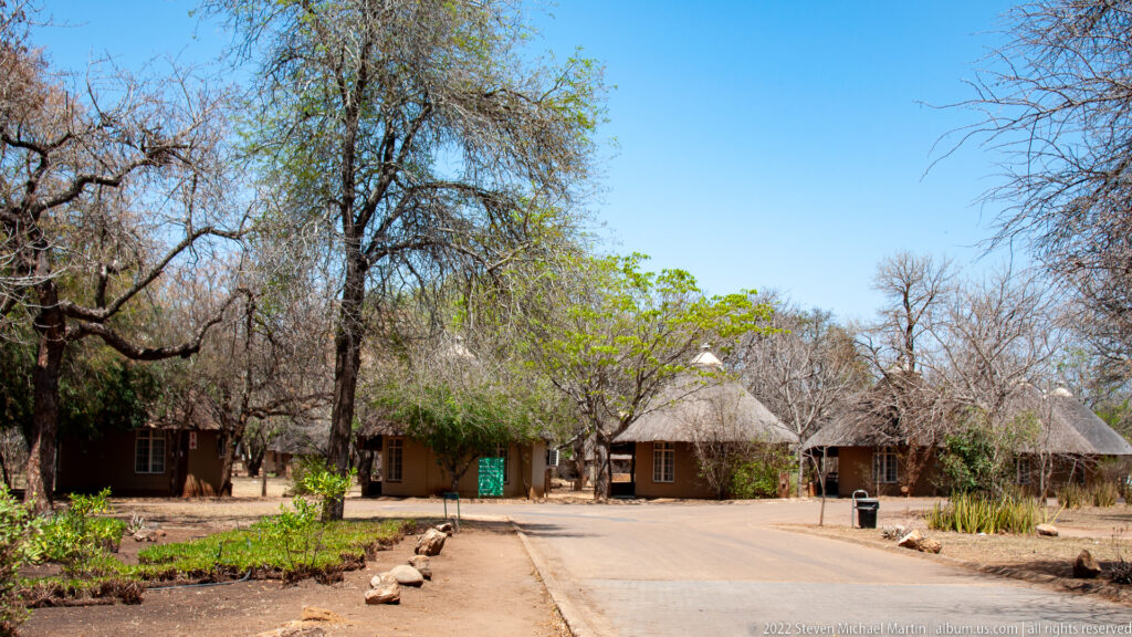 Thatched-roof guest buildings and mature trees line a paved road inside a Kruger National Park camp.