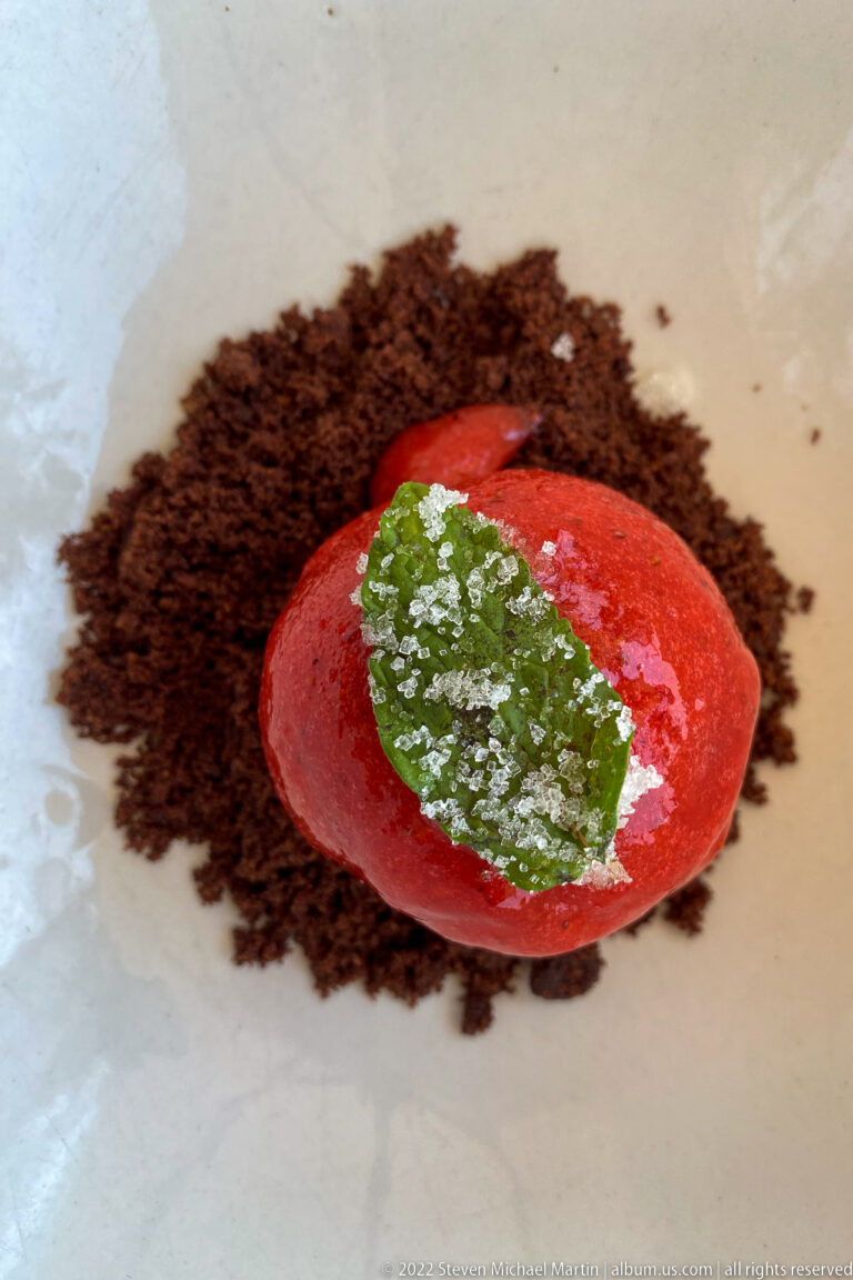 Red oval dessert on dark chocolate crumb with a glossy green leaf-shaped garnish.