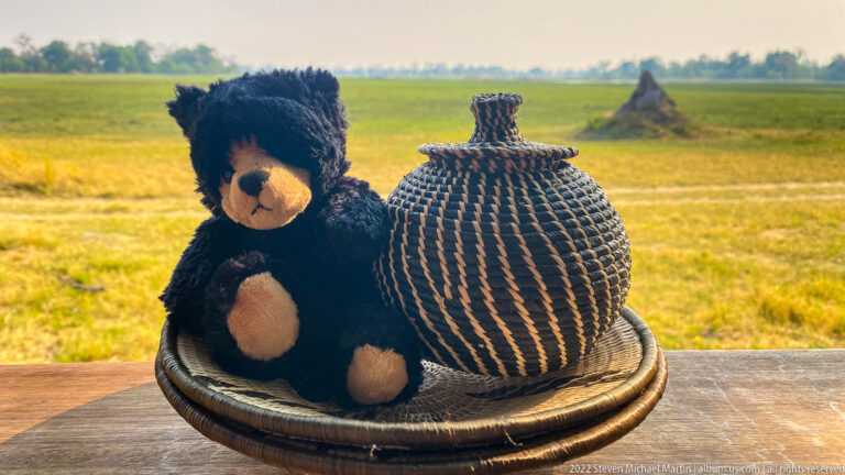 Black plush bear sitting beside a striped woven lidded basket with floodplain in the background.