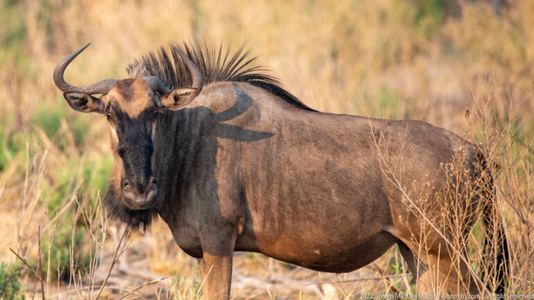 Botswana