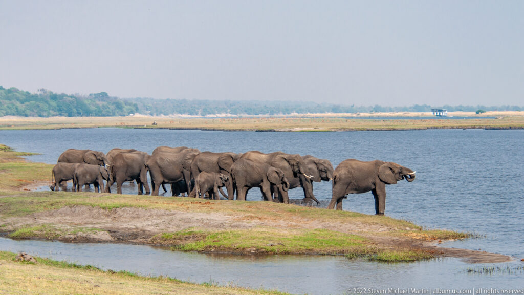 Herd of African bush elephants standing on a grassy riverbank beside broad blue water in Chobe National Park.
