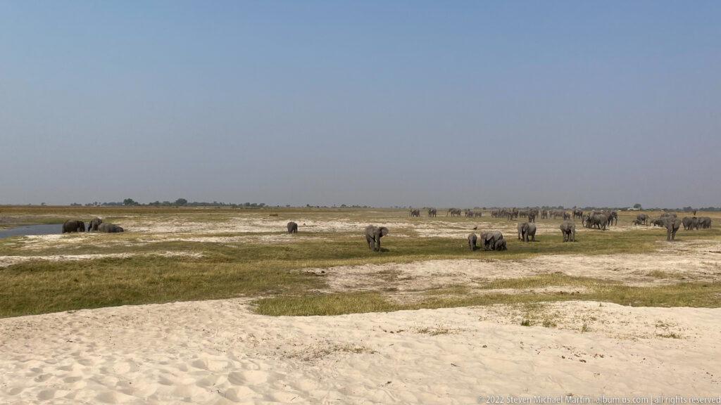 Numerous African elephants scattered across a broad sandy and grassy floodplain under a hazy blue sky.
