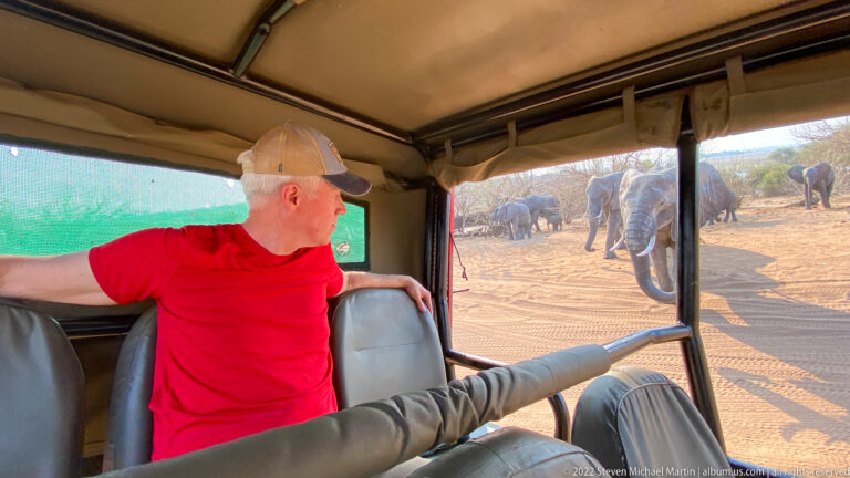 Traveler in a red shirt looking from an open safari vehicle toward several elephants standing close beside the sandy track.