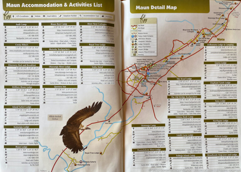 Maun town map beside columns of accommodation, activity, restaurant, and service listings, with a large bird illustration.