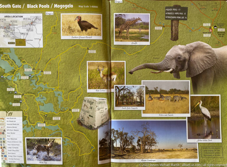 Moremi reserve map with roads and waterways, surrounded by photographs of elephant, giraffe, antelope, birds, and other wildlife.